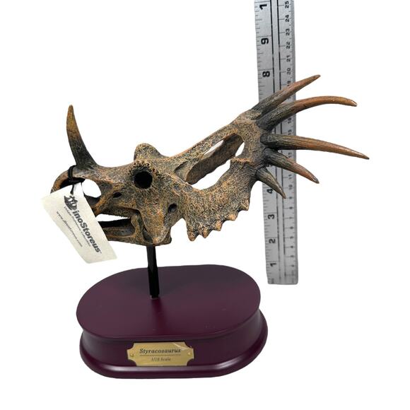 DinoStoreus Styracosaurus Dinosaur Skull Model 1/10 Scale w/ Base Open Box New - Picture 6 of 6